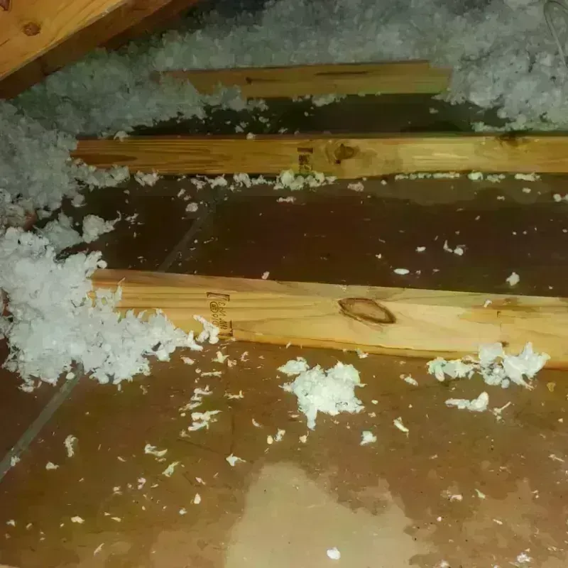 Attic Water Damage in De Land Southwest, FL